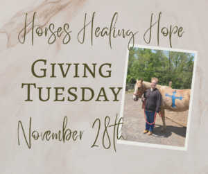 Horses - Healing - Hope, Giving Tuesday, November 28th